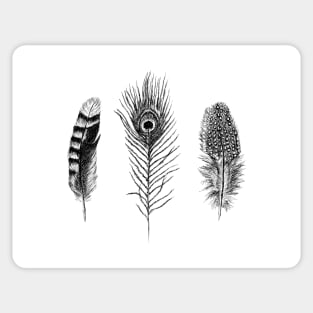 Feathers Print Sticker